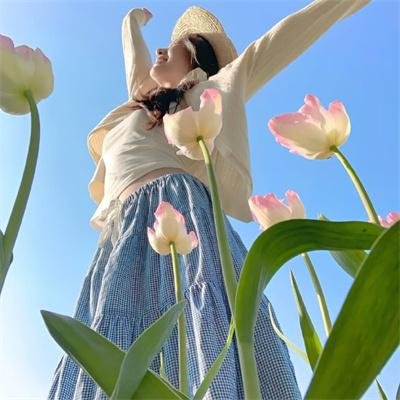 巡回检察组
